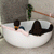 Wave Oval 63 inch Acrylic Freestanding Wide Bathtub, Matte White